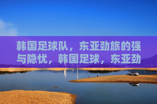 韩国足球队,东亚劲旅的强与隐忧,韩国足球,东亚劲旅的强盛与隐忧