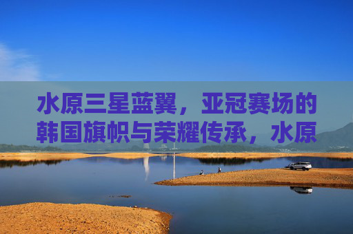 水原三星蓝翼,亚冠赛场的韩国旗帜与荣耀传承,水原三星蓝翼,亚冠赛场的韩国旗帜与荣耀传承