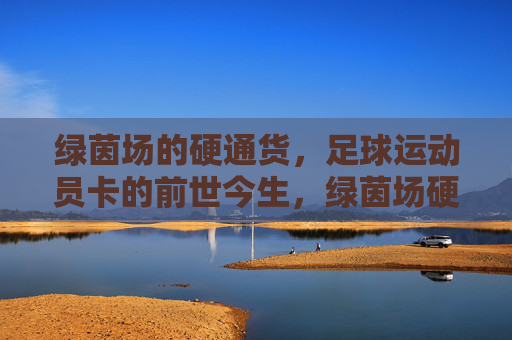 绿茵场的硬通货,足球运动员卡的前世今生,绿茵场硬通货,足球运动员卡的前世今生