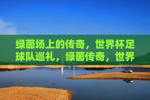绿茵场上的传奇,世界杯足球队巡礼,绿茵传奇,世界杯球队巡礼