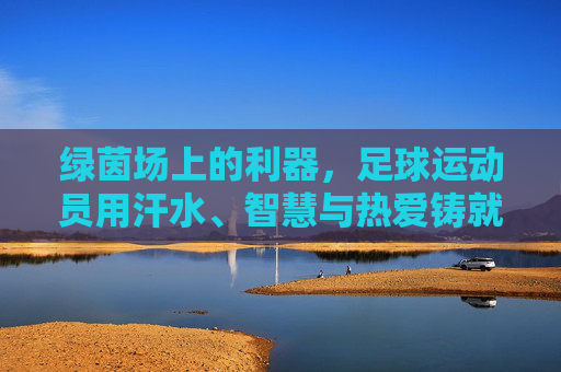 绿茵场上的利器，足球运动员用汗水、智慧与热爱铸就传奇，汗水、智慧与热爱，绿茵场上的足球传奇