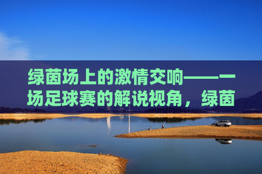 绿茵场上的激情交响——一场足球赛的解说视角，绿茵激情交响，足球赛解说视角