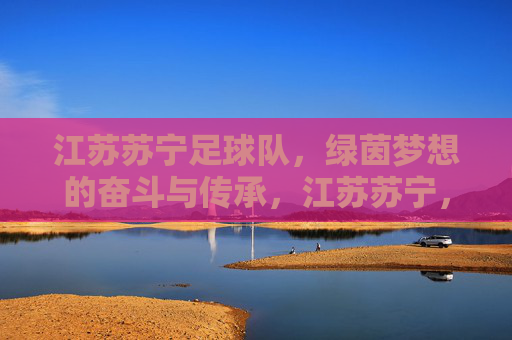 江苏苏宁足球队,绿茵梦想的奋斗与传承,江苏苏宁,绿茵梦想的奋斗与传承