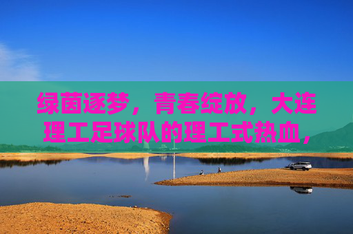 绿茵逐梦，青春绽放，大连理工足球队的理工式热血，绿茵逐梦，理工热血青春