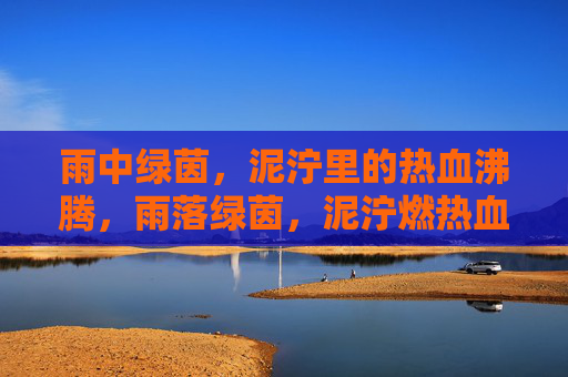 雨中绿茵，泥泞里的热血沸腾，雨落绿茵，泥泞燃热血