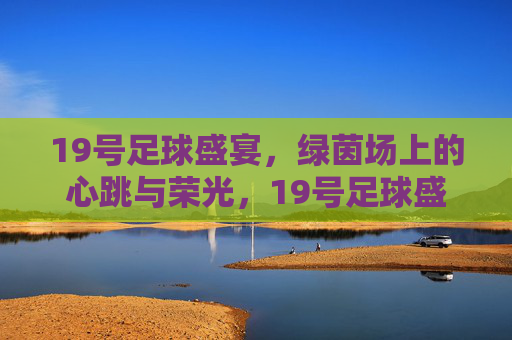 19号足球盛宴，绿茵场上的心跳与荣光，19号足球盛宴，绿茵荣光与心跳