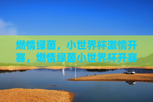 燃情绿茵,小世界杯激情开赛,燃情绿茵小世界杯开赛