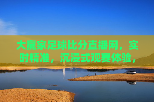 大赢家足球比分直播网，实时精准，沉浸式观赛体验，尽享足球每一刻，大赢家足球比分直播网，实时精准沉浸式，尽享足球每一刻
