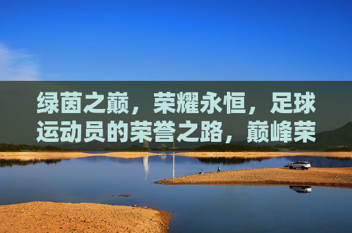 绿茵之巅,荣耀永恒,足球运动员的荣誉之路,巅峰荣耀,足球运动员的永恒之路