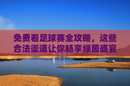 免费看足球赛全攻略，这些合法渠道让你畅享绿茵盛宴，免费看足球赛合法全攻略，畅享绿茵盛宴