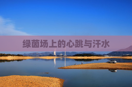 绿茵场上的心跳与汗水