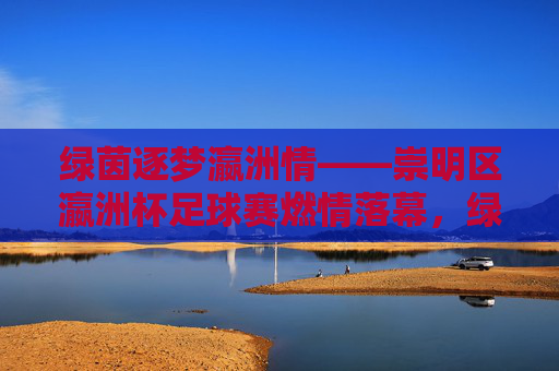 绿茵逐梦瀛洲情——崇明区瀛洲杯足球赛燃情落幕,绿茵逐梦瀛洲情——崇明区瀛洲杯足球赛燃情落幕