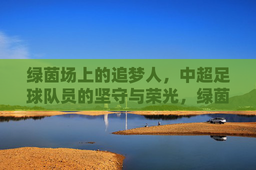 绿茵场上的追梦人,中超足球队员的坚守与荣光,绿茵追梦人,中超足球队员的坚守与荣光