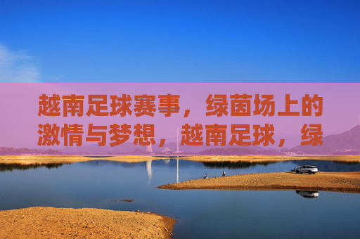 越南足球赛事，绿茵场上的激情与梦想，越南足球，绿茵激情与梦想
