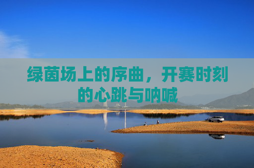 绿茵场上的序曲,开赛时刻的心跳与呐喊