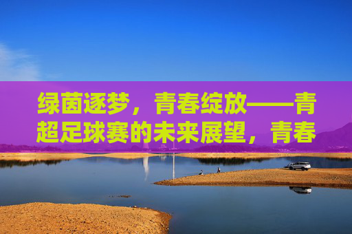 绿茵逐梦，青春绽放——青超足球赛的未来展望，青春逐梦，青超足球赛未来展望