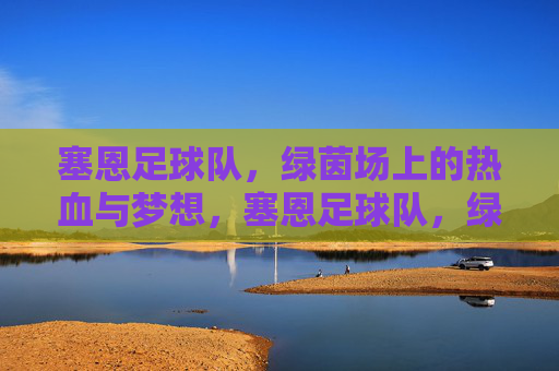 塞恩足球队，绿茵场上的热血与梦想，塞恩足球队，绿茵场上的热血与梦想
