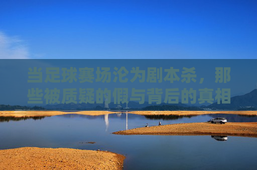 当足球赛场沦为剧本杀,那些被质疑的假与背后的真相,足球赛场剧本杀,假球争议背后的真相