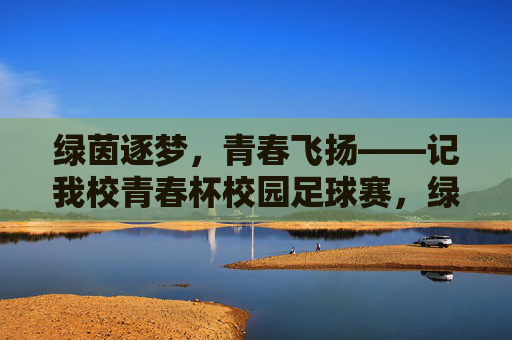绿茵逐梦,青春飞扬——记我校青春杯校园足球赛,绿茵逐梦,青春飞扬——我校青春杯足球赛