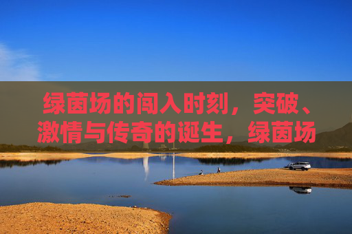 绿茵场的闯入时刻，突破、激情与传奇的诞生，绿茵场闯入时刻，突破激情铸就传奇