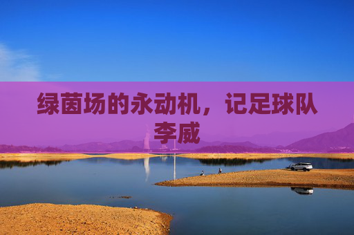 绿茵场的永动机,记足球队李威