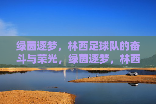 绿茵逐梦,林西足球队的奋斗与荣光,绿茵逐梦,林西足球队的奋斗荣光