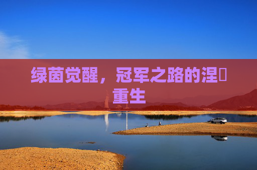 绿茵觉醒,冠军之路的涅槃重生