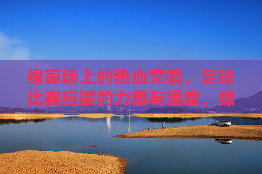 绿茵场上的热血交响,足球比赛应援的力量与温度,绿茵应援,热血交响的力量与温度