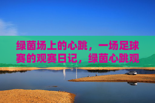 绿茵场上的心跳,一场足球赛的观赛日记,绿茵心跳观赛日记