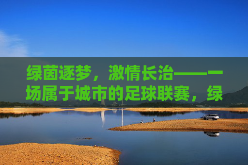 绿茵逐梦，激情长治——一场属于城市的足球联赛，绿茵逐梦，激情长治——城市足球联赛