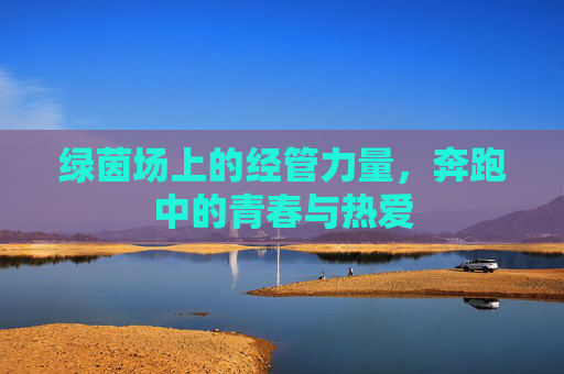 绿茵场上的经管力量,奔跑中的青春与热爱