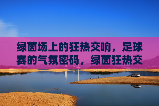 绿茵场上的狂热交响，足球赛的气氛密码，绿茵狂热交响，足球赛气氛密码