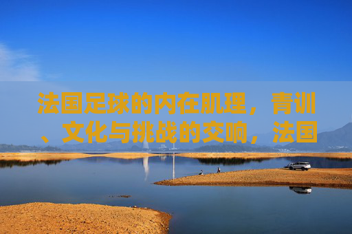 法国足球的内在肌理,青训、文化与挑战的交响,法国足球内在肌理,青训、文化与挑战的交响