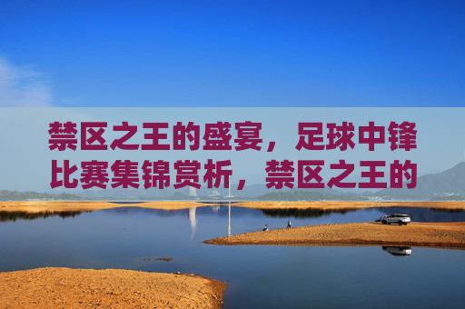 禁区之王的盛宴,足球中锋比赛集锦赏析,禁区之王的盛宴,足球中锋比赛集锦赏析