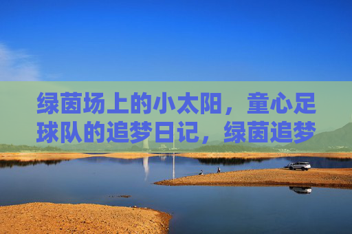 绿茵场上的小太阳,童心足球队的追梦日记,绿茵追梦,童心足球队的小太阳日记