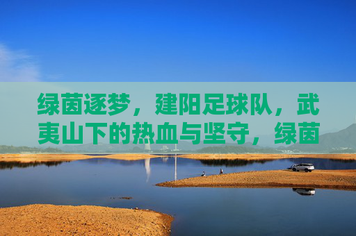 绿茵逐梦,建阳足球队,武夷山下的热血与坚守,绿茵逐梦,武夷山下建阳足球队的热血坚守