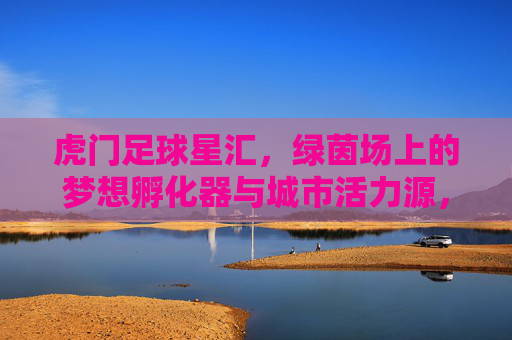 虎门足球星汇，绿茵场上的梦想孵化器与城市活力源，虎门足球星汇，绿茵梦想孵化器与城市活力引擎