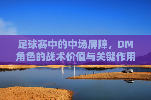 足球赛中的中场屏障,DM角色的战术价值与关键作用,中场屏障,DM角色的战术价值与关键作用