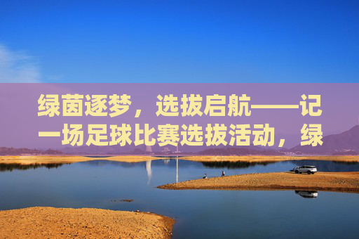 绿茵逐梦，选拔启航——记一场足球比赛选拔活动，绿茵逐梦，选拔启航