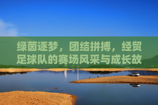 绿茵逐梦，团结拼搏，经贸足球队的赛场风采与成长故事，绿茵逐梦，团结拼搏，经贸足球队的赛场风采与成长