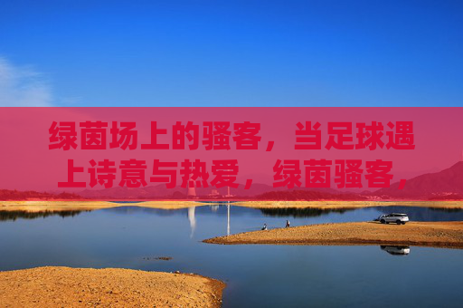 绿茵场上的骚客,当足球遇上诗意与热爱,绿茵骚客,足球的诗意与热爱