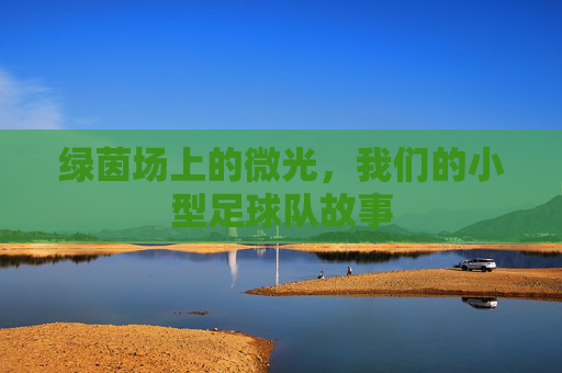 绿茵场上的微光,我们的小型足球队故事