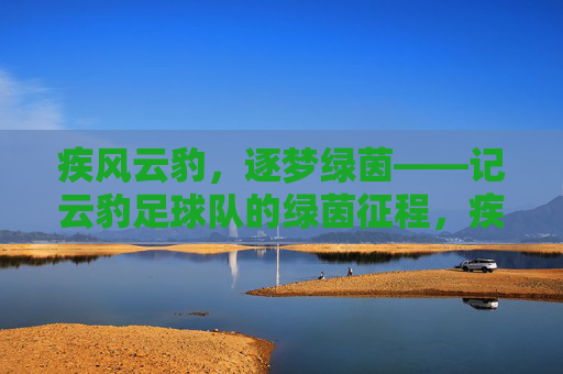 疾风云豹，逐梦绿茵——记云豹足球队的绿茵征程，疾风云豹逐梦绿茵