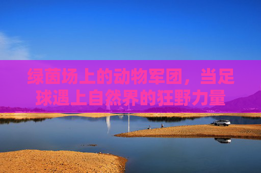 绿茵场上的动物军团,当足球遇上自然界的狂野力量