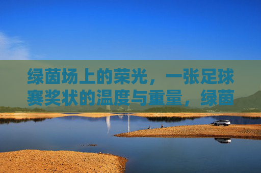 绿茵场上的荣光,一张足球赛奖状的温度与重量,绿茵荣光,一张奖状的温度与重量