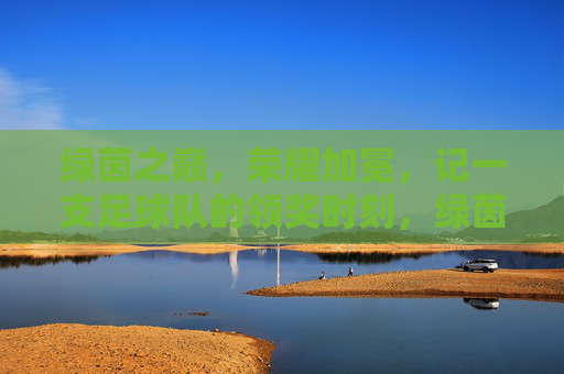 绿茵之巅，荣耀加冕，记一支足球队的领奖时刻，绿茵之巅，荣耀加冕，足球队领奖时刻