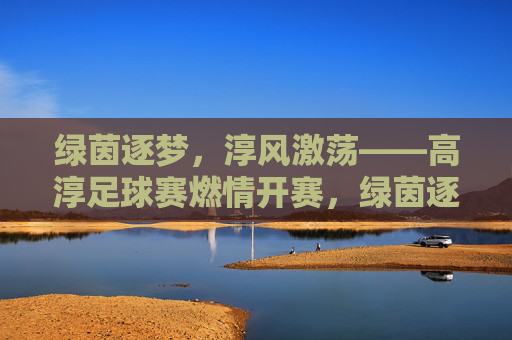 绿茵逐梦，淳风激荡——高淳足球赛燃情开赛，绿茵逐梦淳风激荡，高淳足球赛燃情开赛