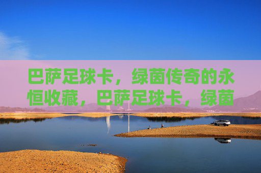 巴萨足球卡,绿茵传奇的永恒收藏,巴萨足球卡,绿茵传奇的永恒珍藏