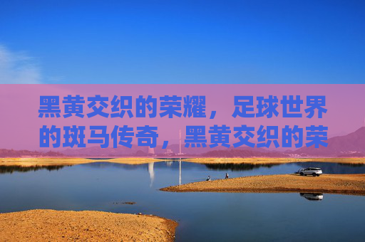 黑黄交织的荣耀，足球世界的斑马传奇，黑黄交织的荣耀，斑马足球传奇