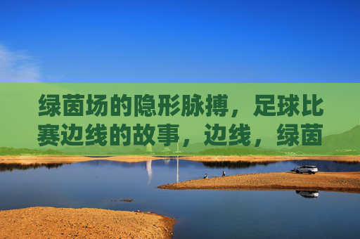 绿茵场的隐形脉搏,足球比赛边线的故事,边线,绿茵场的隐形脉搏